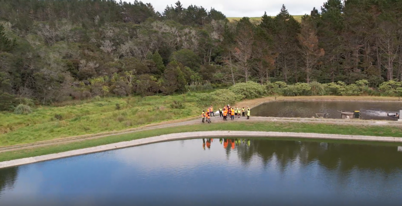 VIDEO - Trial planned to transform Taipā wastewater