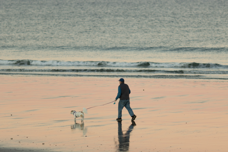 Paws for thought about beach access