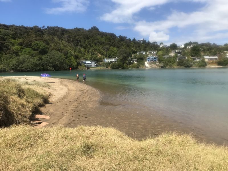  Taipā dog attack investigation concludes